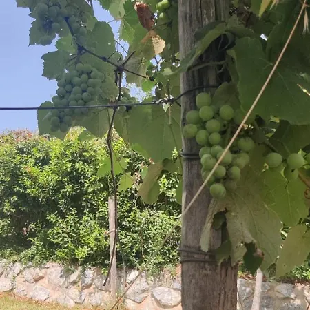 Apogeo, Entire House - Lamezia International Airport *