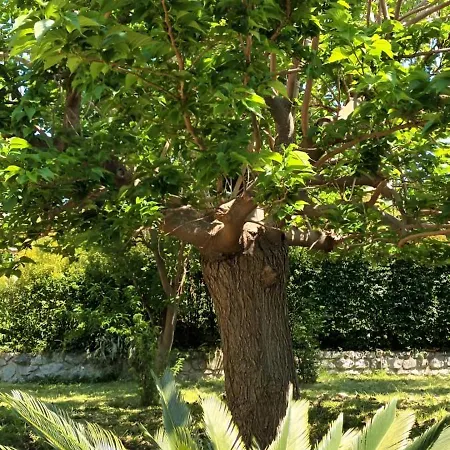 Apogeo, Entire House - Lamezia International Airport * Gizzeria