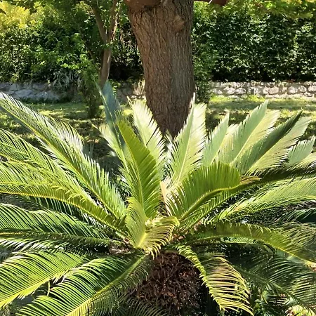 Apogeo, Entire House - Lamezia International Airport Holiday home